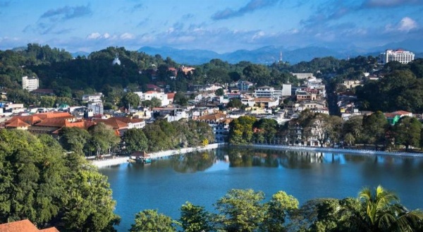 Devon Hotel image 10