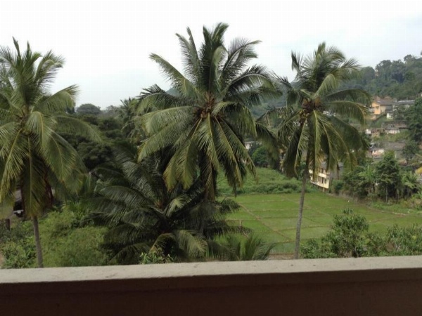 Devon Hotel image 19