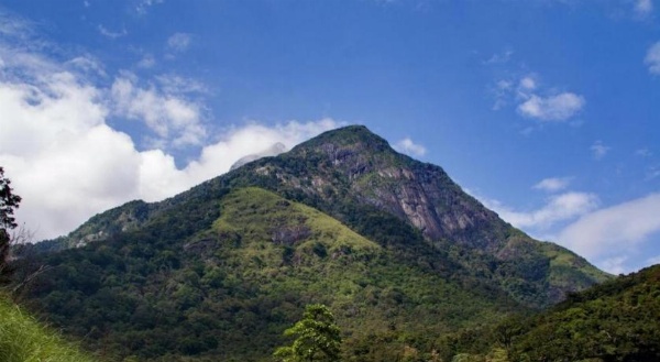 Devon Hotel image 20